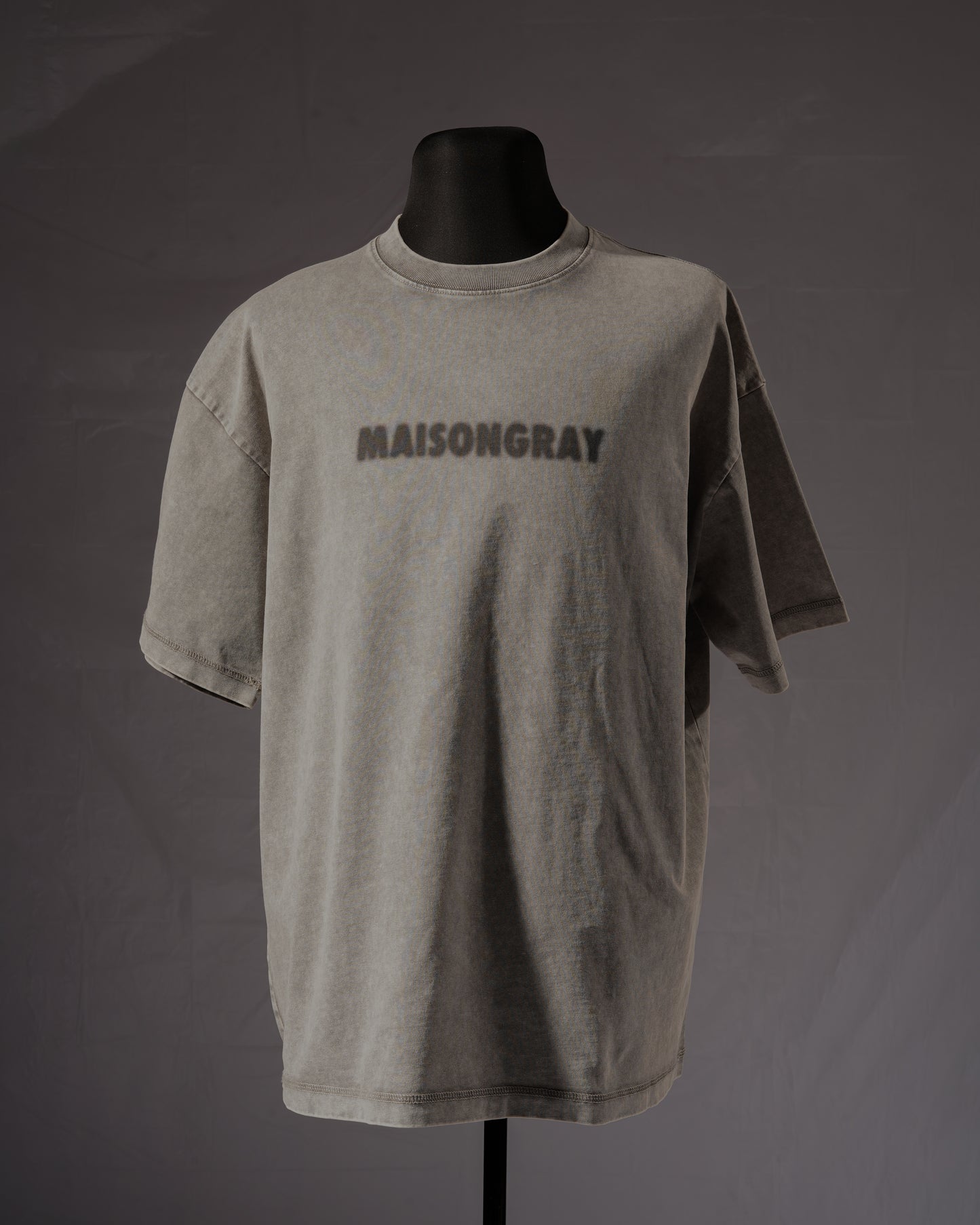 BLUR LOGO T-SHIRT - WASHED GRAY
